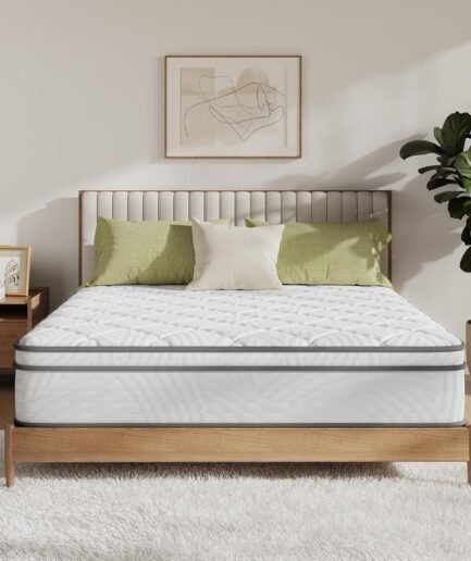 Queen Mattress, 14 Inch Queen Size Mattress in a Box, Queen Hybrid Mattress for Back Pain Relief & Support, Spring Mattresses with Motion Isolation & Pillow Top,